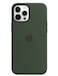Apple Silicone Case Cover (for iPhone 12 Pro Max) - Cyprus Green