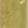 Specialist Crafts  Shino Stoneware Glazes 473ml Wasabi