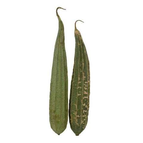 Snake Gourd