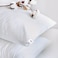 American Polo Cotton Bed Pillow With Microfiber Filling - 75x50cm
