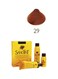 Sanotint 29 Dark Copper Blonde
