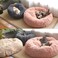 Doreen Soft Plush Round Pet Bed Cat Soft Bed Cat Bed for Cats Small Dogs（GC1648A）