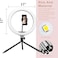 Generic 13&#39;&#39; Selfie Ring Light With Tripod Stand &amp; Cell Phone Holder For Live Stream/Makeup, Dimmable Desk Makeup Ring Light For TikTok/Youtube/Video/Photography Compatible For iPhone And Android