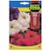 Fito Dwarf Petunia Compact Mix Flower Seeds