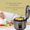 DOMEA&reg; 2-in-1 Electric Rice Cooker, 1.8 L Capacity, Non-Stick Cooking Pot With Food Steamer Tray, Spatula &amp; Measuring Cup,Stainless Steel Body, Warm/Cook Light Functions, KC143,700 Watts