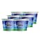 Nadec Fresh Yoghurt Full Cream 170g &times; 6