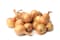 Jana Baby Organic Yellow Onion - 500 gram