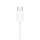 Mono Earphone with Type-C Connector, TPE and Copper Construction, 1.2m Cable, Green Lion - White