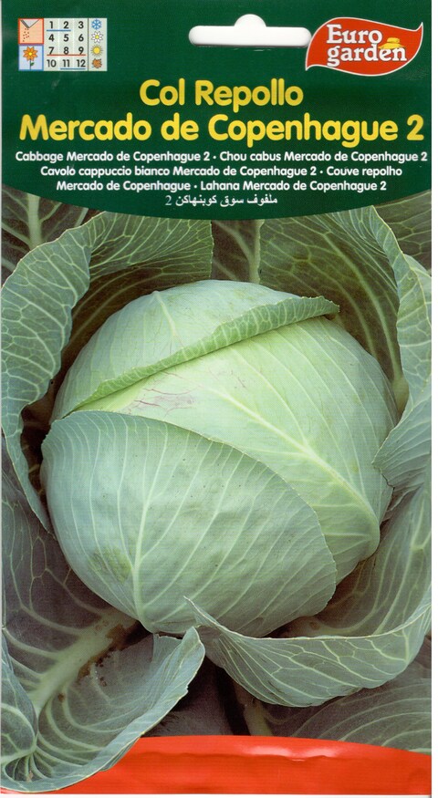 Eurogarden Cabbage