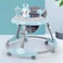 Pikkaboo RforRabbit Roll &amp; Learn Baby Walker-Blue