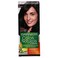 Garnier Color Naturals Creme Luminous Black 2 110ml