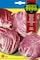 Fito Chicory Chioggia Red-3082