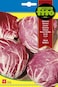 Fito Chicory Chioggia Red-3082