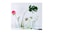Generic Vase, Set Of 3, Clear Glass