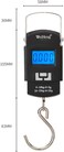 Fitto Portable Electronic Scale, Artue Wh-A25, LCD Display, Luggage Scale, Multi-Unit Conversion, 55Kg, Backlight