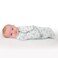Summer Infant-Swaddleme Ditzie Ellie-1Pk