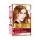 Loreal Paris Excellence Hair Color 7.31 Natural Dark Caramel Blonde