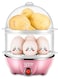 Wtrtr Multifunctional Double Layer Electric Egg Boiler