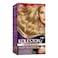 Wella Koleston Supreme Hair Color 8/1 Light Ash Blonde
