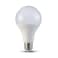 Techmart LED Bulb A80 18W 3000K