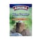 Aruba Rice Powder 250GR