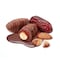 Chocodate Date Almond Milk Chocolate 100g