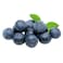 Premium Blueberries 125g