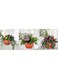 6Pc Hanging Flower Pot With Draining Hole Plastic Planter for Indoor and Outdoor Plants Terracotta 15X12cm