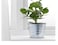 Plant pot, in/outdoor/galvanised12 cm