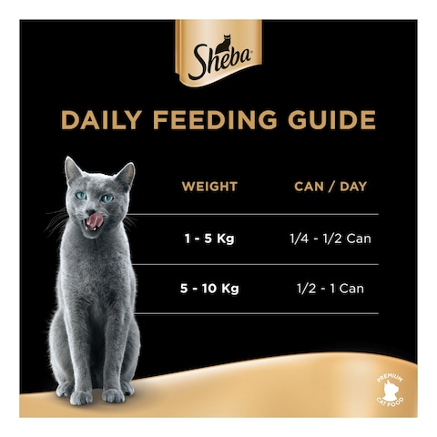 Sheba Cat Food Tuna Filets &amp; Prawn, 85g Can