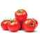 Nedal Organic Tomato