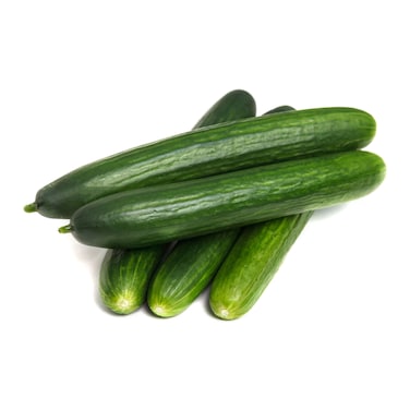 Cucumber Long - Holland