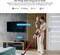 Sonoff   M5-1C-86 SwitchMan 1 Gang Smart Wall Switch   Remote/Voice Control   Share Control - Smart Scene - LAN Support - Countdown Timing   2.4GHz Wifi   2200W Max Power   PC V0 Material   Dim Grey