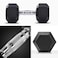 HEX Rubber Dumbbell with Charm Handle (8 KG)
