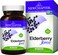 New Chapter Elderberry Force, 30 Vegan Capsules