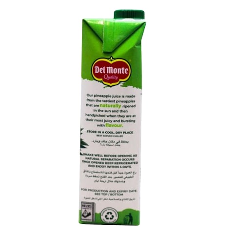 Del Monte Pineapple Blend Juice 1L
