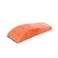 Fresh Salmon Fish Fillet
