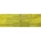 Funday Lemon Mint Flavored Bonbon Bag - 80 gram