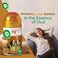 Air Wick Automatic Air Freshener Spray Refill, Oud Scent, 250ml