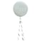 Botanical Baby Mummy To Be Baby Shower Balloon with Botanical Tail