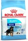 Royal Canin SHN Maxi Puppy 15 kg Size Health Nutrition Dog Food, Multicolor,  Maxi Puppy Dog food