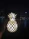 Pineapple Wooden Plaque with LED Lights 30x18cm