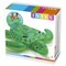 Intex Inflatable Turtle-Shape Ride On Float Ages 3
