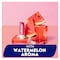 Labello Lip Balm, Watermelon - 4.8 gm