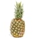 Indian Pineapple