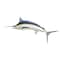 Fresh Grunt Fish