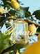 Chopard Happy Lemon Dulci Eau De Parfum Spray 100ml