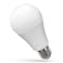 Illumatt 13WATTS LED Daylight bulb 