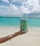 2-Piece Pineapple-Shaped Drinkware Tumbler for Cold Beverages with Reusable Straw Light Turquoise 450ml each
