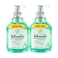 Johnson's  Anti-Bacterial Micellar Mint Hand Wash , 500ml Pack of 2